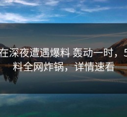 大V在深夜遭遇爆料 轰动一时，51爆料全网炸锅，详情速看