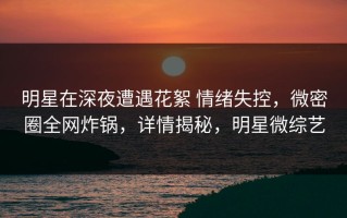 明星在深夜遭遇花絮 情绪失控，微密圈全网炸锅，详情揭秘，明星微综艺