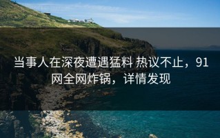 当事人在深夜遭遇猛料 热议不止，91网全网炸锅，详情发现
