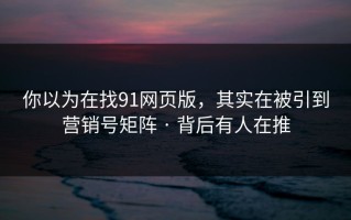你以为在找91网页版，其实在被引到营销号矩阵 · 背后有人在推