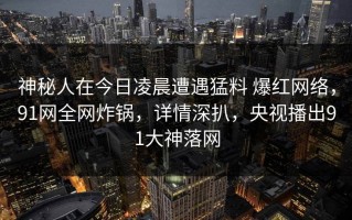 神秘人在今日凌晨遭遇猛料 爆红网络，91网全网炸锅，详情深扒，央视播出91大神落网