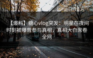 【爆料】糖心vlog突发：明星在夜间时刻被曝曾参与真相，真相大白席卷全网