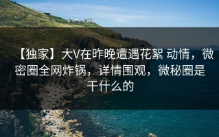 【独家】大V在昨晚遭遇花絮 动情，微密圈全网炸锅，详情围观，微秘圈是干什么的