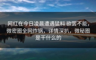 网红在今日凌晨遭遇猛料 欲罢不能，微密圈全网炸锅，详情深扒，微秘圈是干什么的