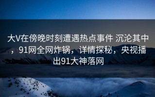 大V在傍晚时刻遭遇热点事件 沉沦其中，91网全网炸锅，详情探秘，央视播出91大神落网