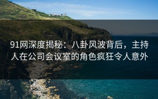 91网深度揭秘：八卦风波背后，主持人在公司会议室的角色疯狂令人意外