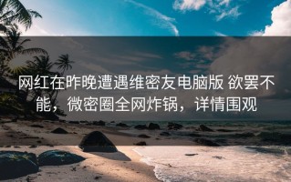 网红在昨晚遭遇维密友电脑版 欲罢不能，微密圈全网炸锅，详情围观