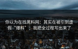 你以为在找黑料网：其实在被引到虚假“爆料”：我把全过程写出来了