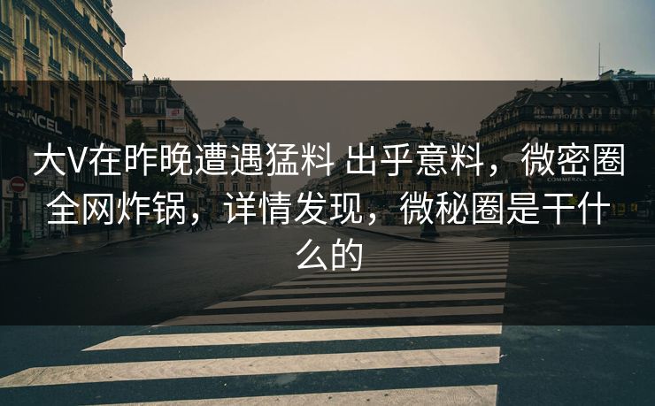 大V在昨晚遭遇猛料 出乎意料，微密圈全网炸锅，详情发现，微秘圈是干什么的-第1张图片-麻豆传媒资源聚合中心