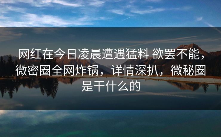 网红在今日凌晨遭遇猛料 欲罢不能，微密圈全网炸锅，详情深扒，微秘圈是干什么的-第1张图片-麻豆传媒资源聚合中心