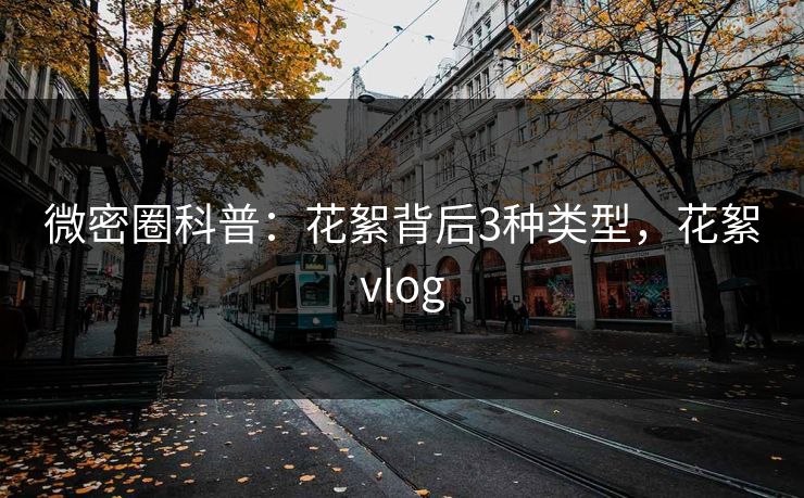 微密圈科普：花絮背后3种类型，花絮vlog-第1张图片-麻豆传媒资源聚合中心