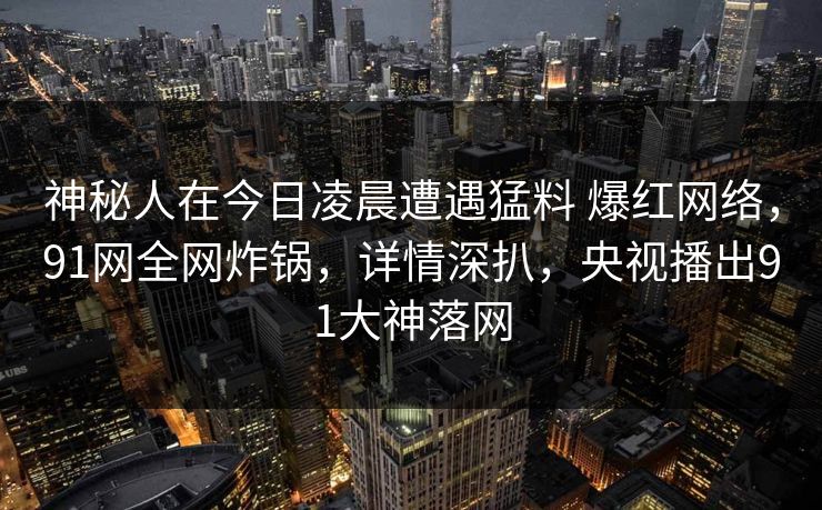 神秘人在今日凌晨遭遇猛料 爆红网络，91网全网炸锅，详情深扒，央视播出91大神落网-第1张图片-麻豆传媒资源聚合中心