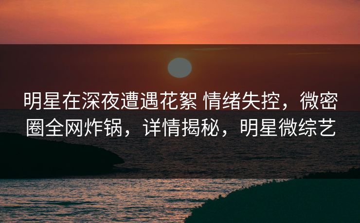 明星在深夜遭遇花絮 情绪失控，微密圈全网炸锅，详情揭秘，明星微综艺-第1张图片-麻豆传媒资源聚合中心